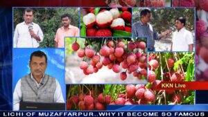 Lichi of Muzaffarpur..Why it Become so Famous