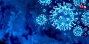 Corona Virus (Covid-19) Image